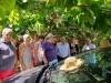 10_lymata_nikiana