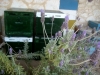 7_meli