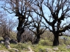 11_skaroi_5_4