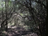 16_skaroi_5_4