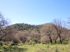 18_skaroi_5_4