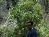 15_pigi_dafnis_syvros