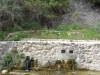 17_pigi_dafnis_syvros