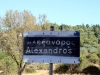 11_trygos_alexandros