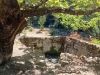14_trygos_alexandros