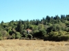 6_trygos_alexandros