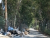 17_viologikos_lefkada