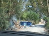 18_viologikos_lefkada