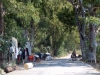 19_viologikos_lefkada