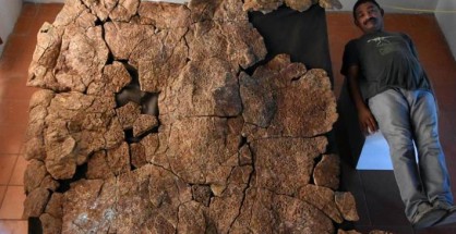 apolithoma-xelona-03