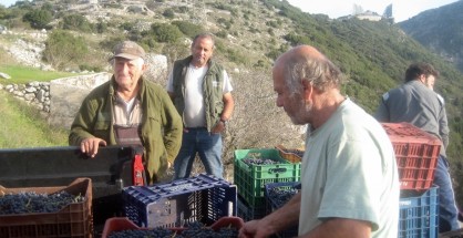 4_stafylosygkentrosi