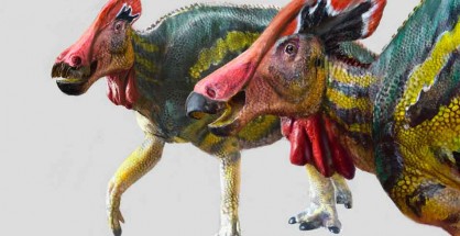 dinosaurier_c_INAH_foto_home_955