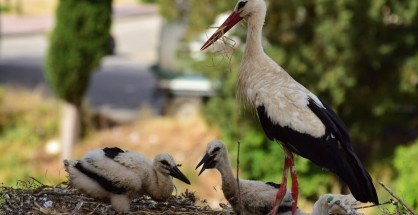 212073916_3062814730604842_2530357631357148136_n