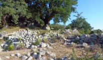 26_skaroi_xoklisia