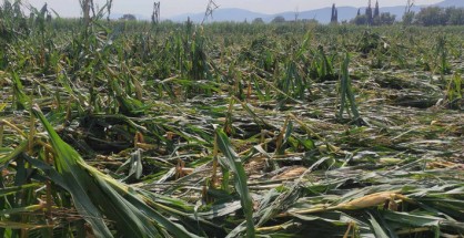 periodeia_papanastasi_aitolokarnania-11