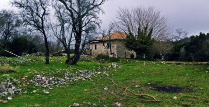 49536440341_c4714fb9ea_o