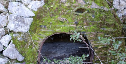 10_agrotospito_nikiana