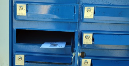 1_grammatothyrida_nikiana