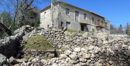 29_kolivata_alexandrou