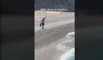 viral 2