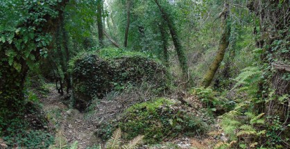 12_pigi_dafnis_syvros