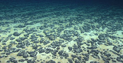 polymetallika_ozidia