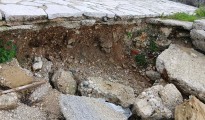1_nikiana_dromiskos