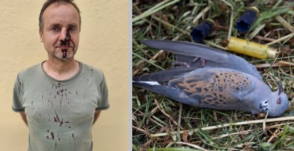 lathrothyria_zakynthos