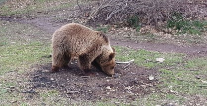 w16-140506w11180756w03112814w0895738