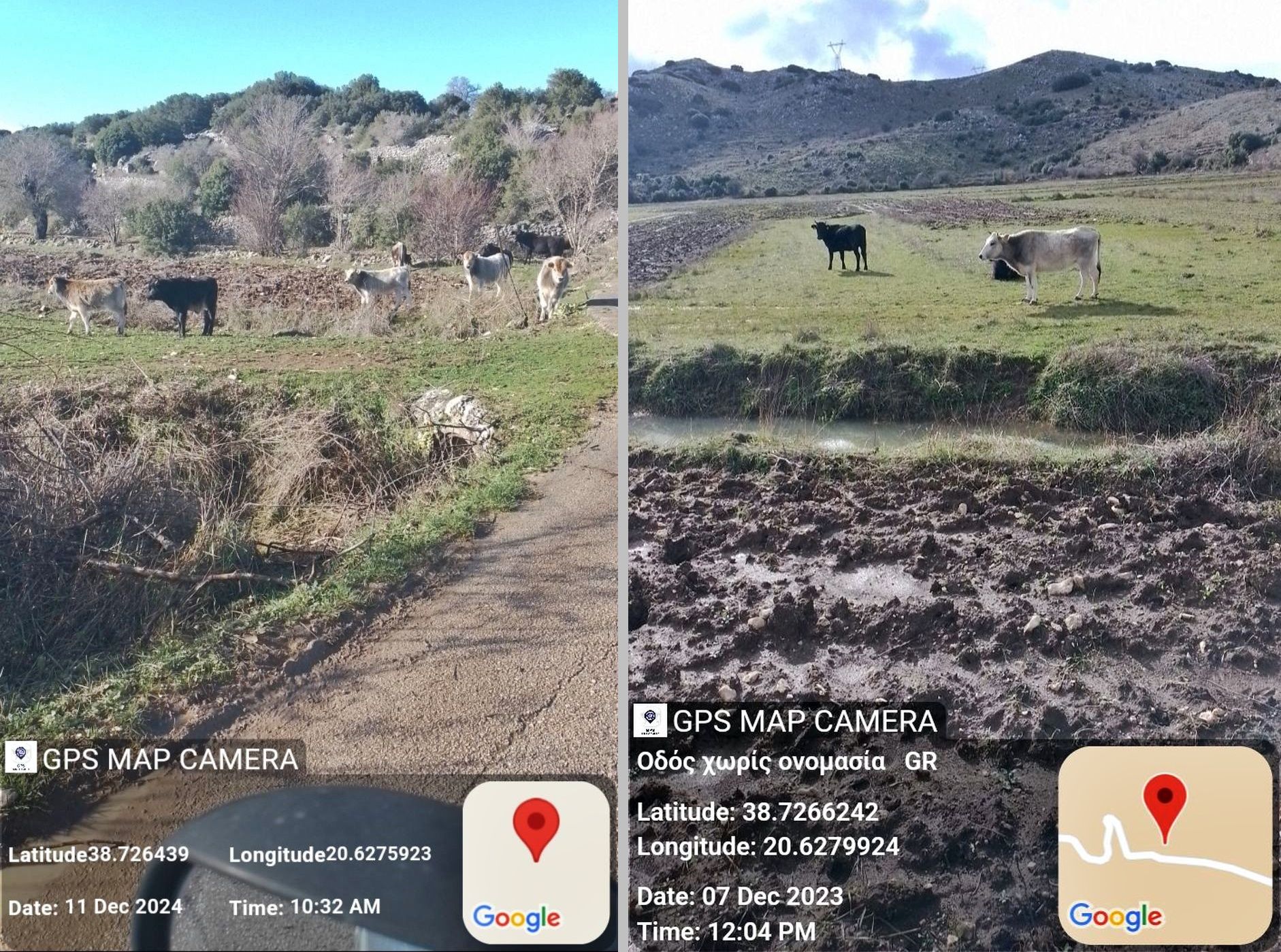 2_egklouvi_voskotopia