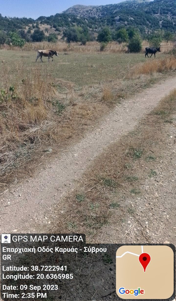 3_egklouvi_voskotopia