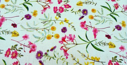 1_plastiko_trapezomantilo