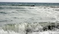 3_thalassa_nikiana1