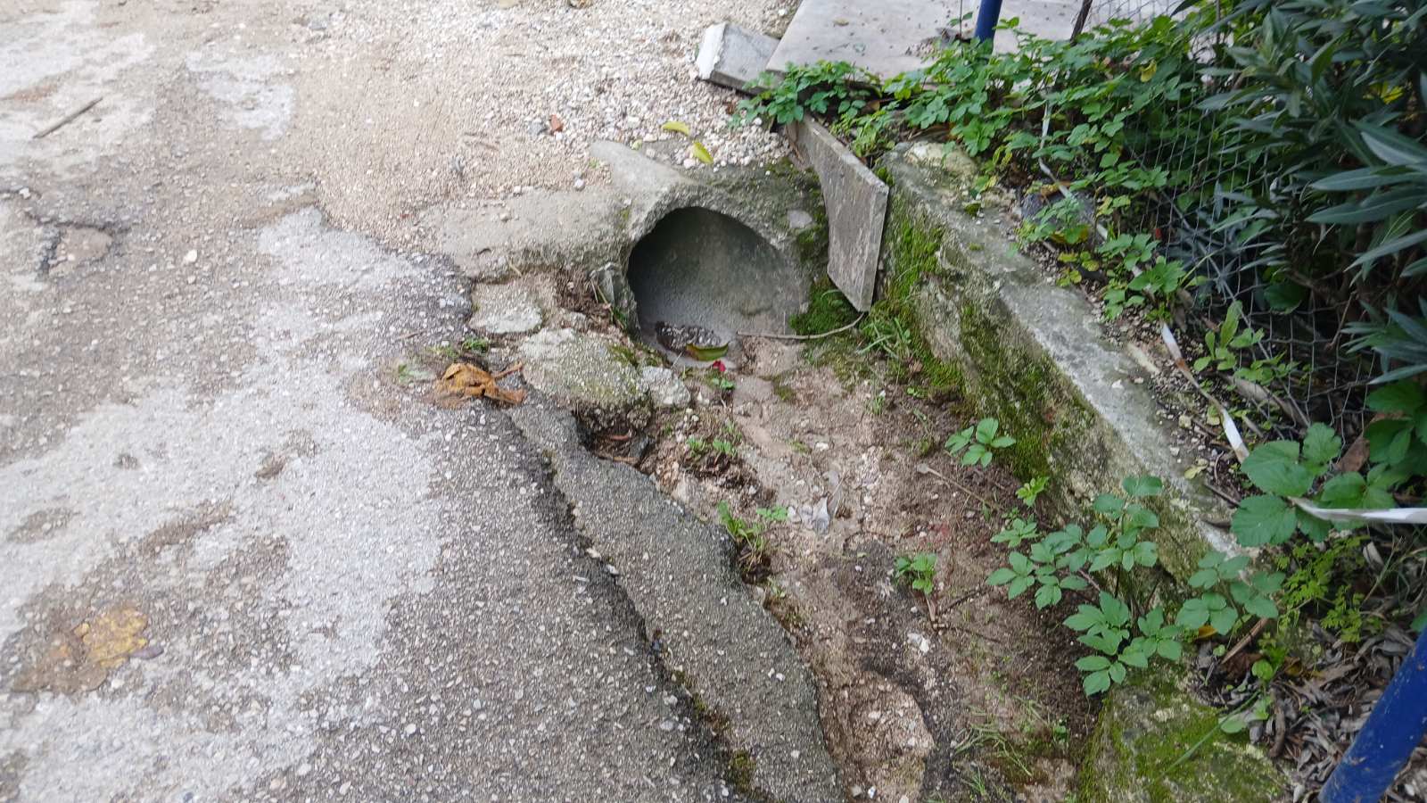 6_πλημμυρεσ_νικιανα