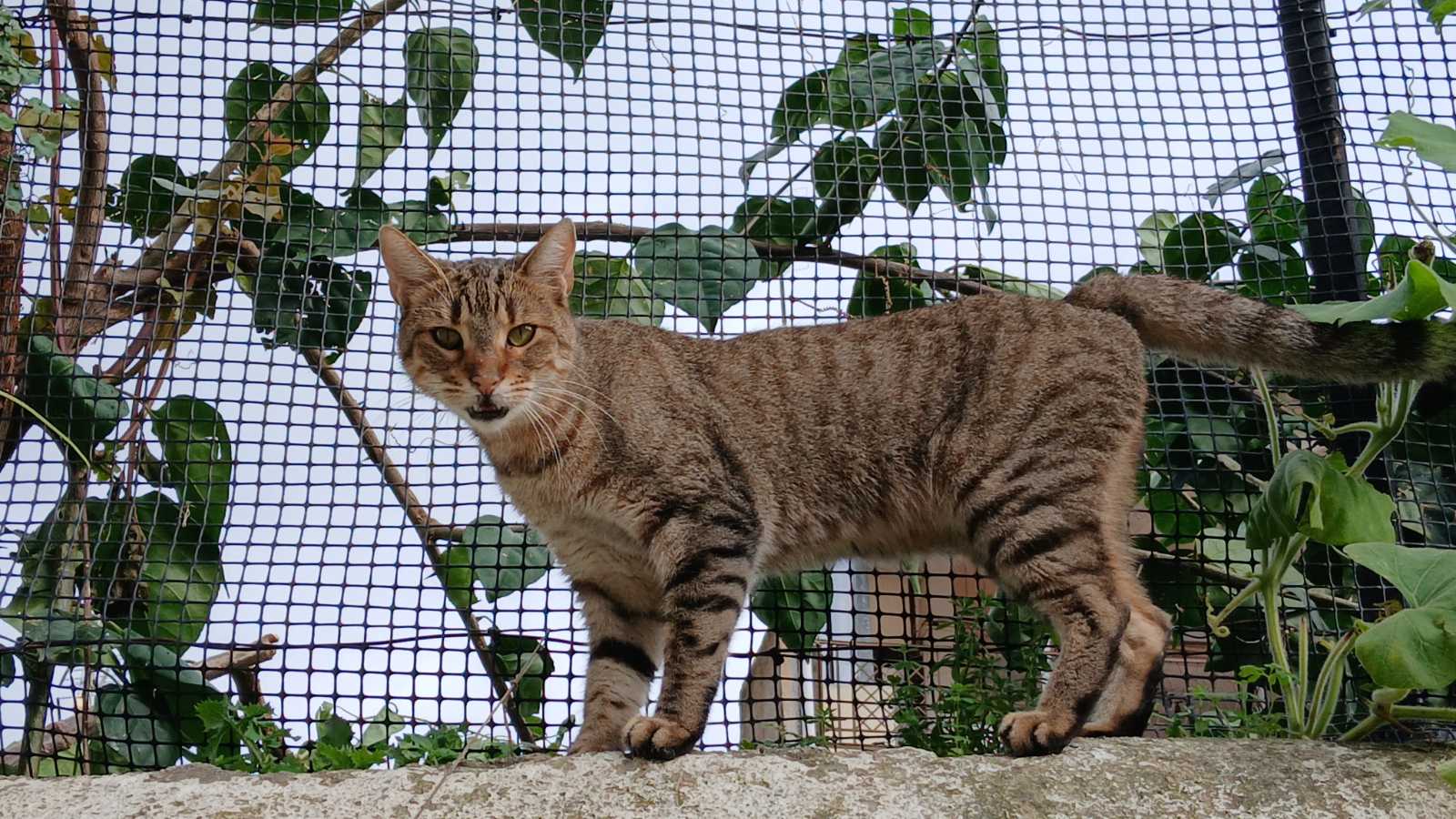 εικόνα_Viber_2025-11-22_15-12-30-449