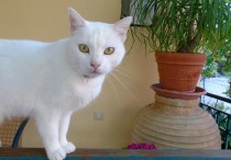 35405032_10215623841256600_7378858281017540608_n