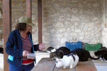 4_gates_alexandros_Lefkada