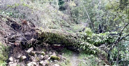 593483022_10163559156091609_2799648290044176089_n