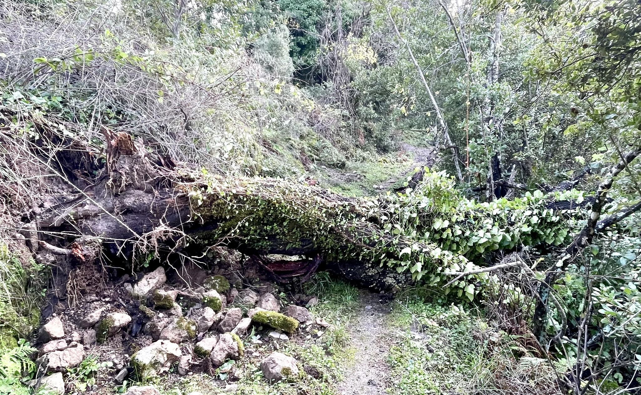 593483022_10163559156091609_2799648290044176089_n