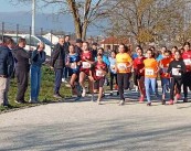 IMG-1b8618042b4d7ec86f2be0d5188ed44d-V