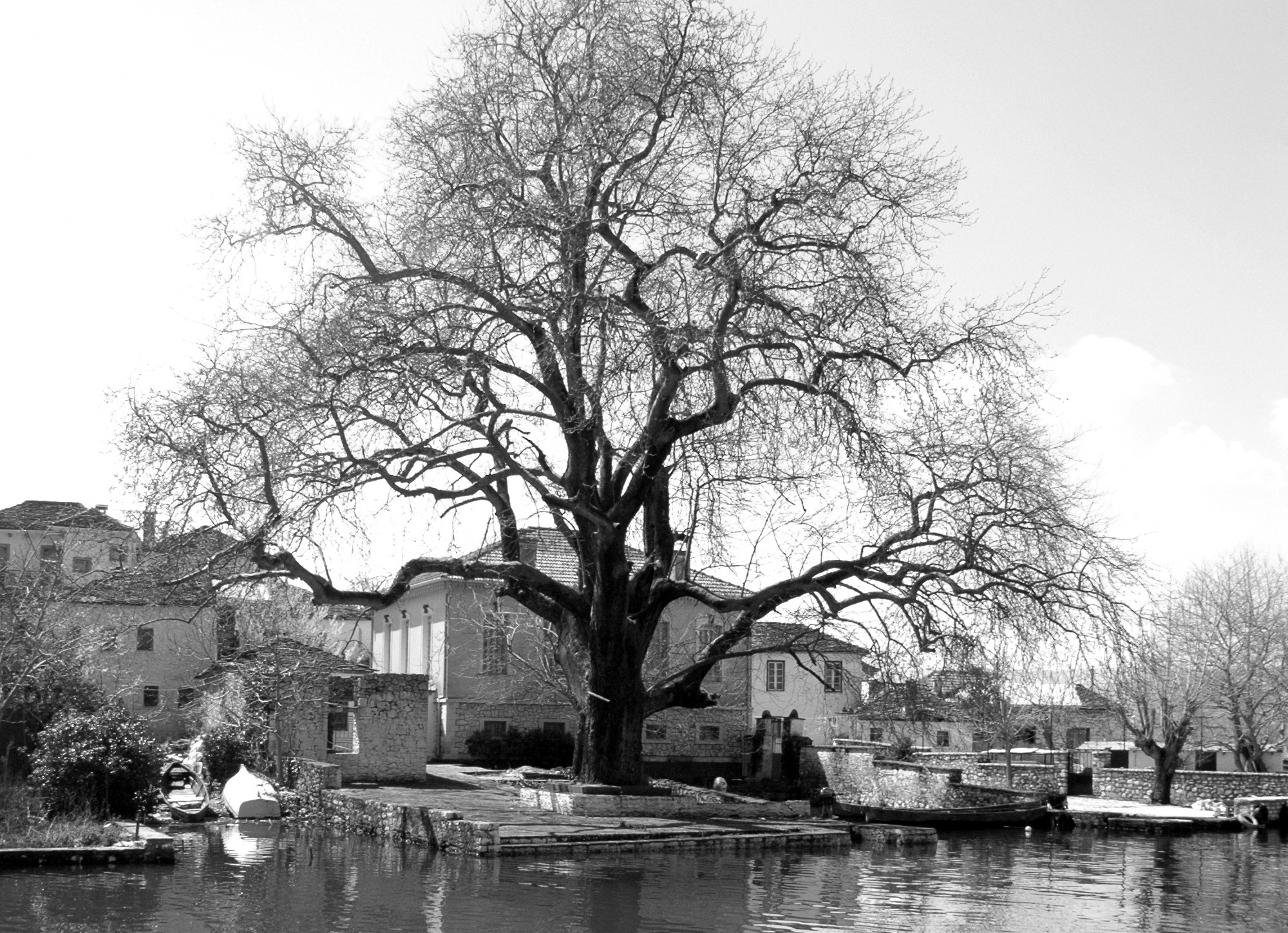 NIKOLAIDOU_TANIA_ 09