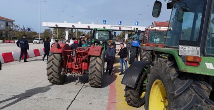 agrotes-diodia-aktio-04