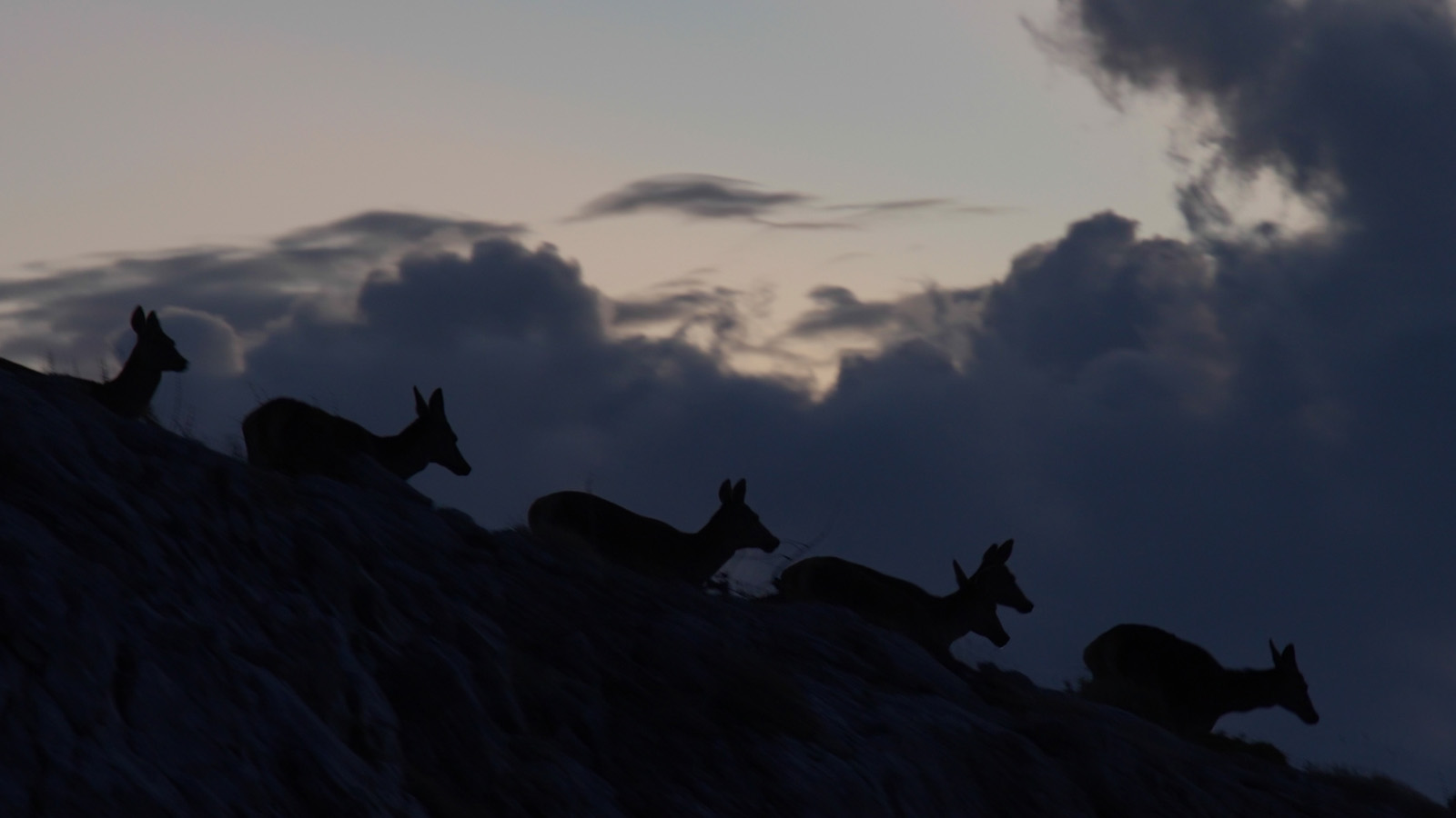 oi-epikirigmenoi-ntokimanter-1