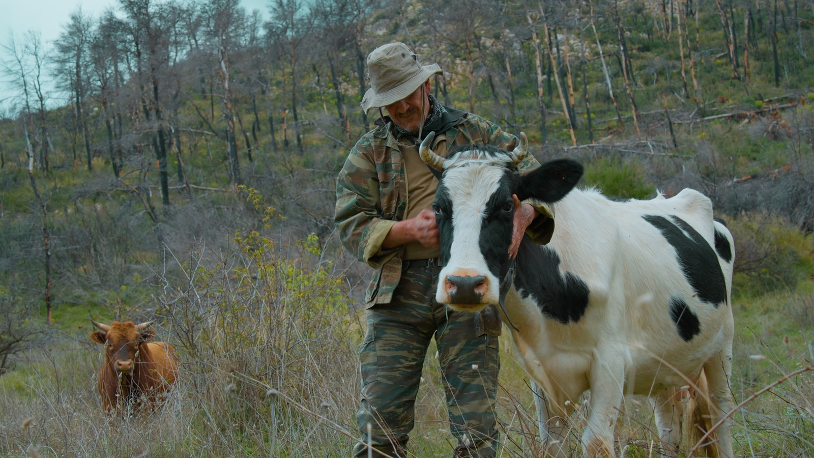 oi-epikirigmenoi-ntokimanter-2