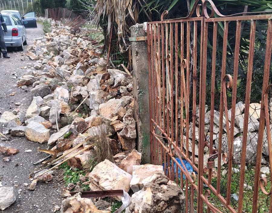 viber_image_2026-01-23_17-07-58-849