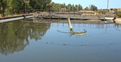 10_viologikos_lefkada