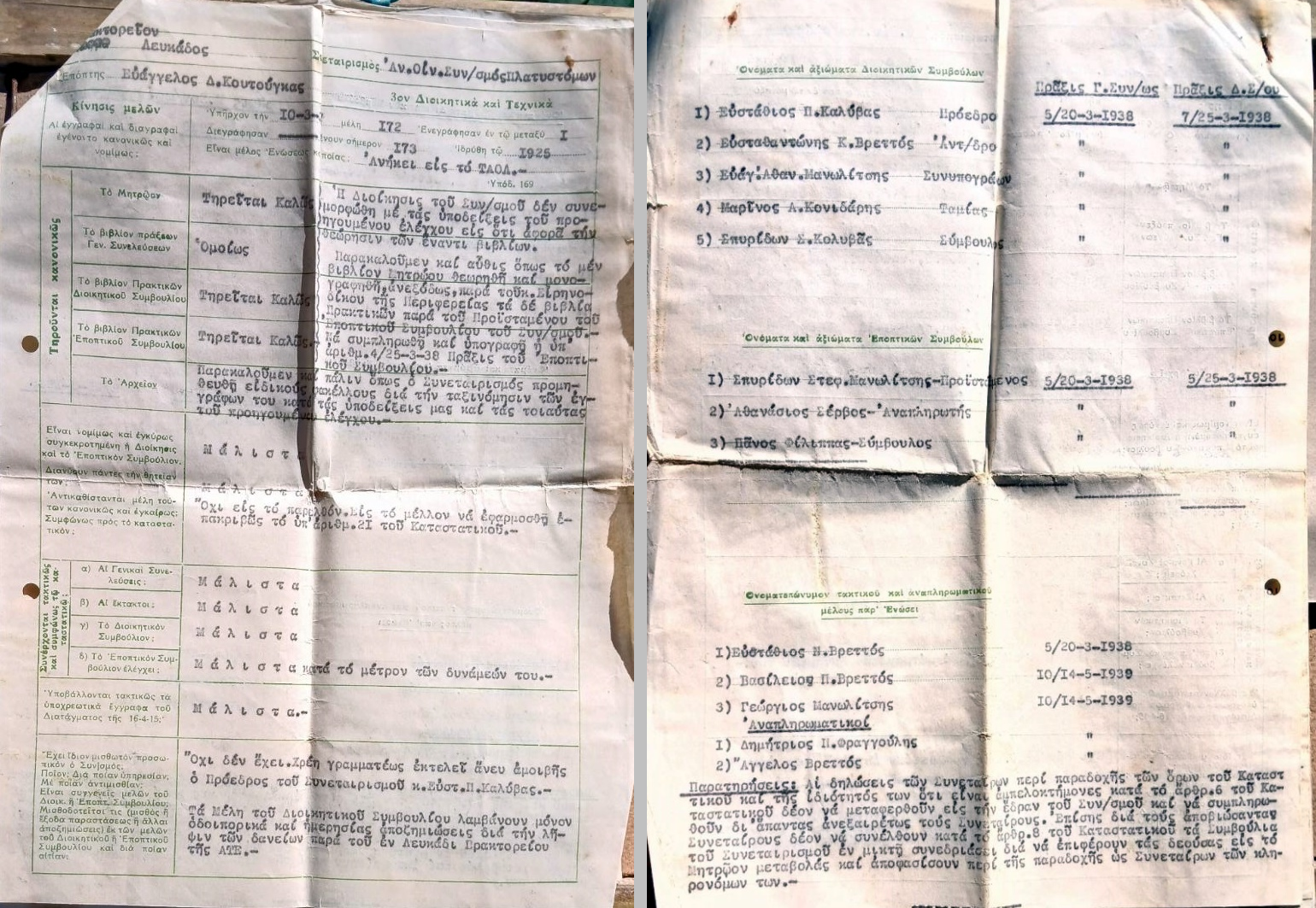 003_synetairismos_Platystomon