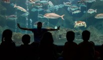 cretaquarium_ekpaideush_7-1024x410