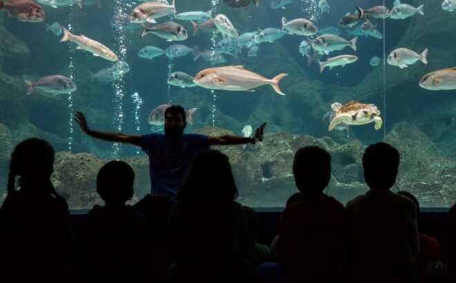 cretaquarium_ekpaideush_7-1024x410