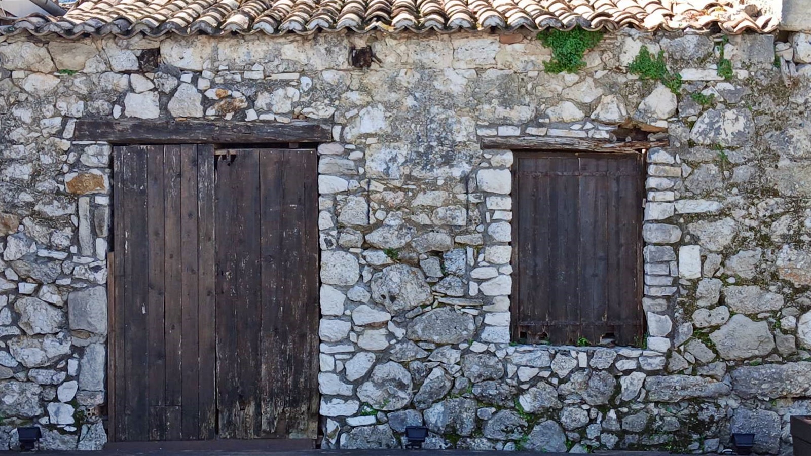 εικόνα_Viber_2026-03-15_14-46-01-237